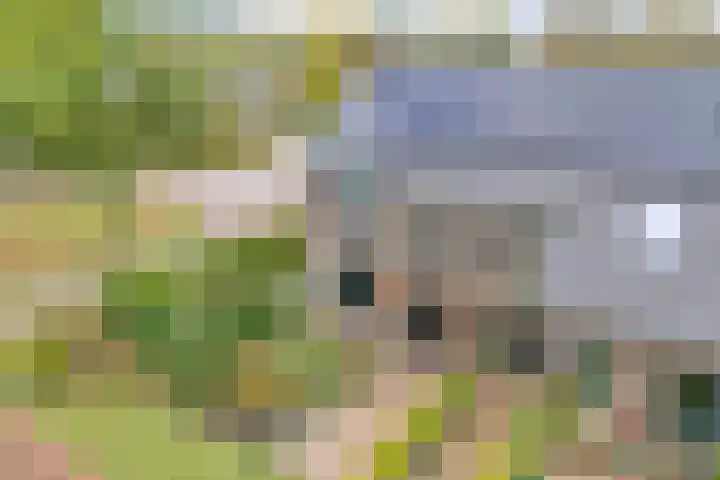 Heringhebrink 29 Dwingeloo thumbnail 37