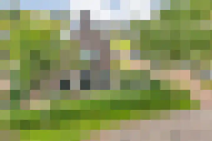 Heringhebrink 29 Dwingeloo thumbnail 39