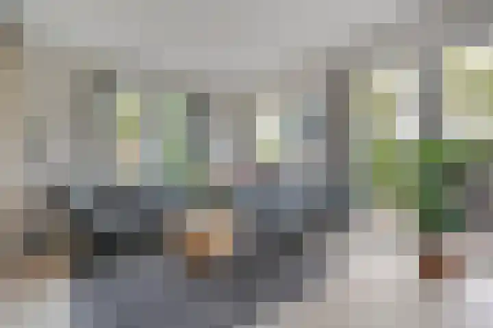 Heringhebrink 29 Dwingeloo thumbnail 4