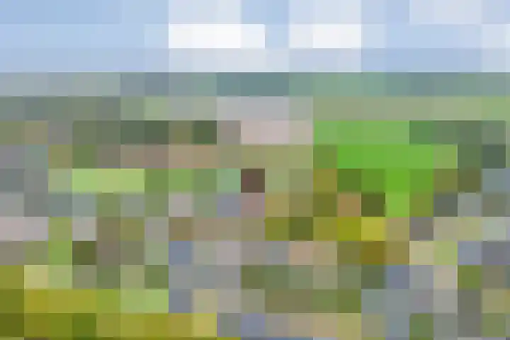 Heringhebrink 29 Dwingeloo thumbnail 40