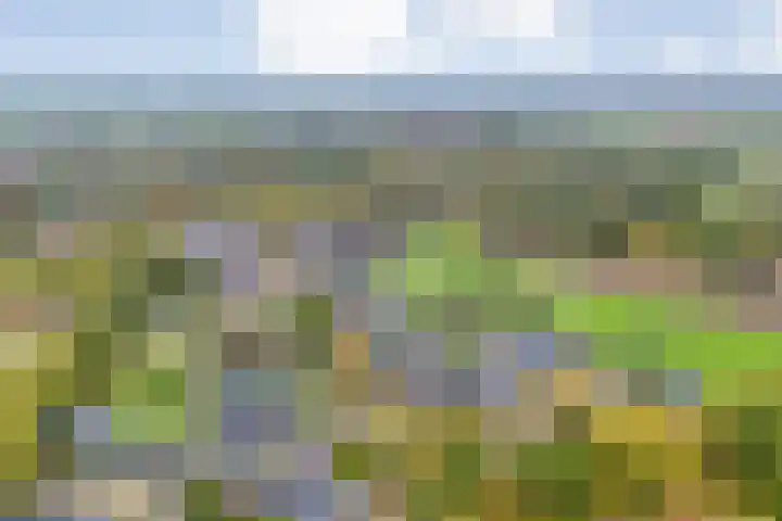 Heringhebrink 29 Dwingeloo thumbnail 41
