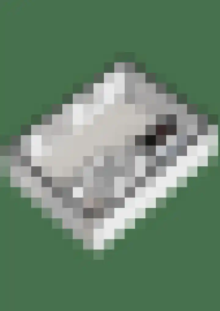 Heringhebrink 29 Dwingeloo thumbnail 43
