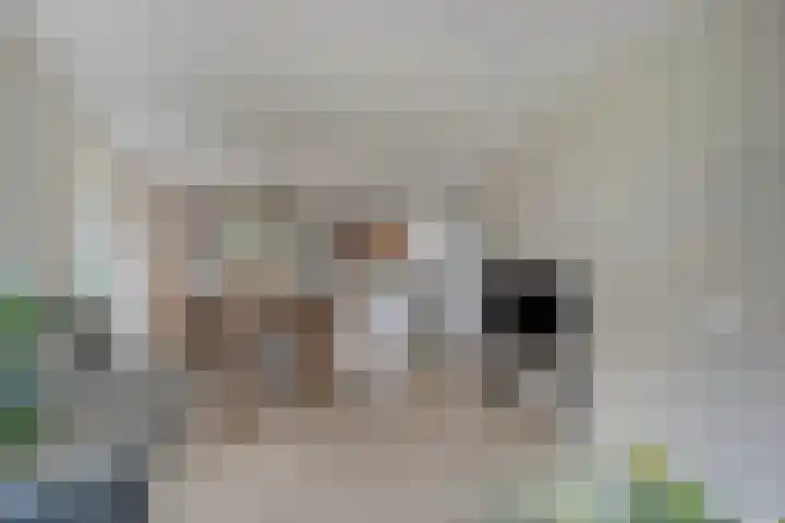 Heringhebrink 29 Dwingeloo thumbnail 5
