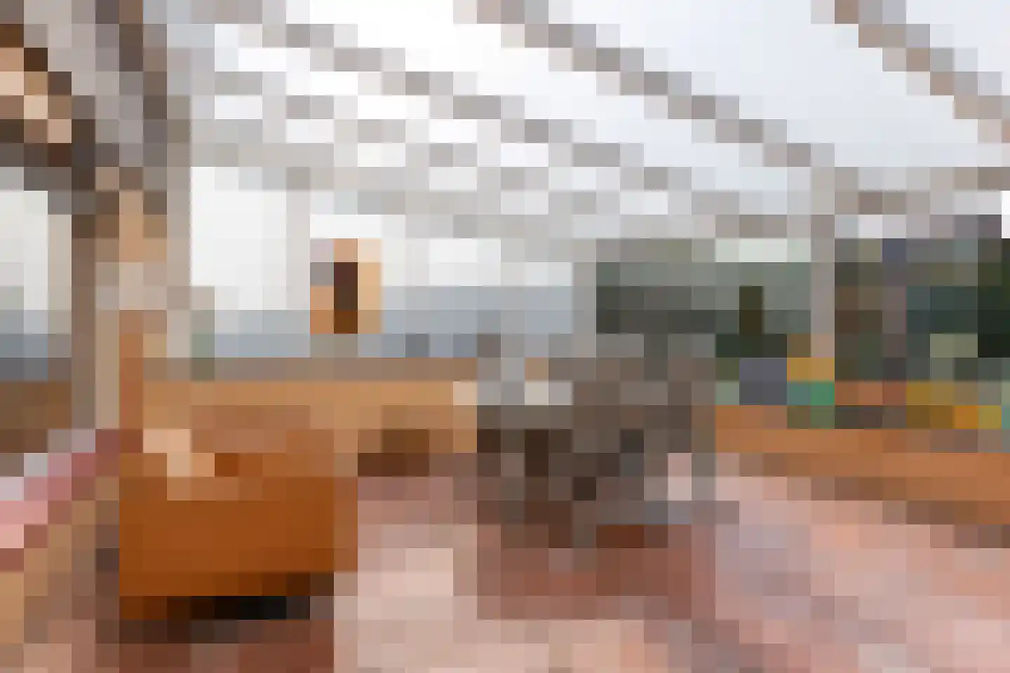 Heringsbosch 89 Schinveld thumbnail 11