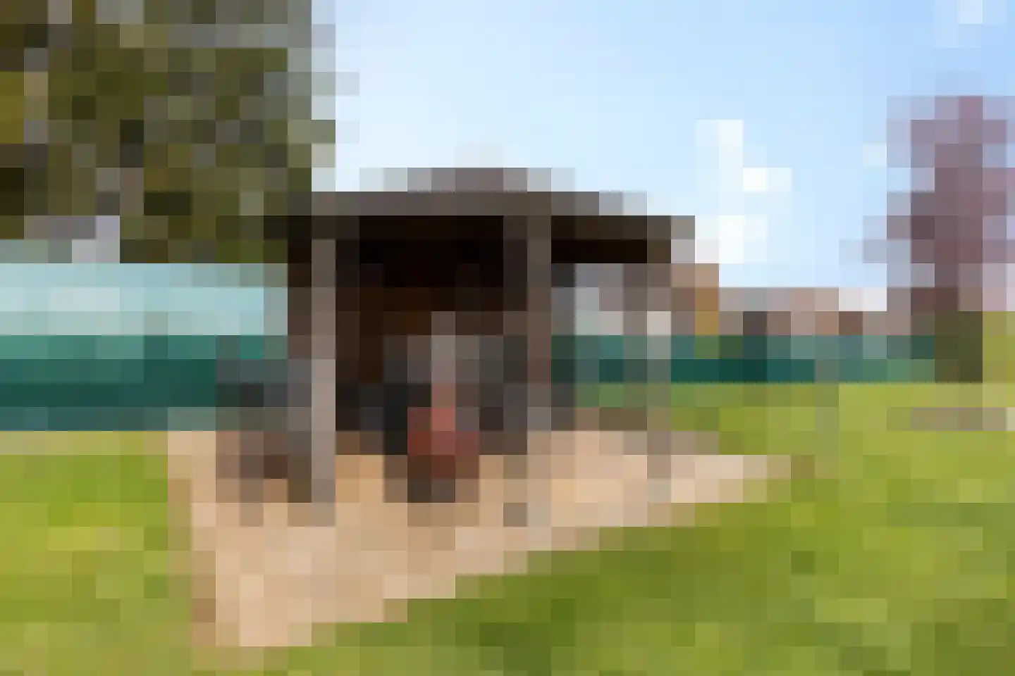 Heringsbosch 89 Schinveld thumbnail 33