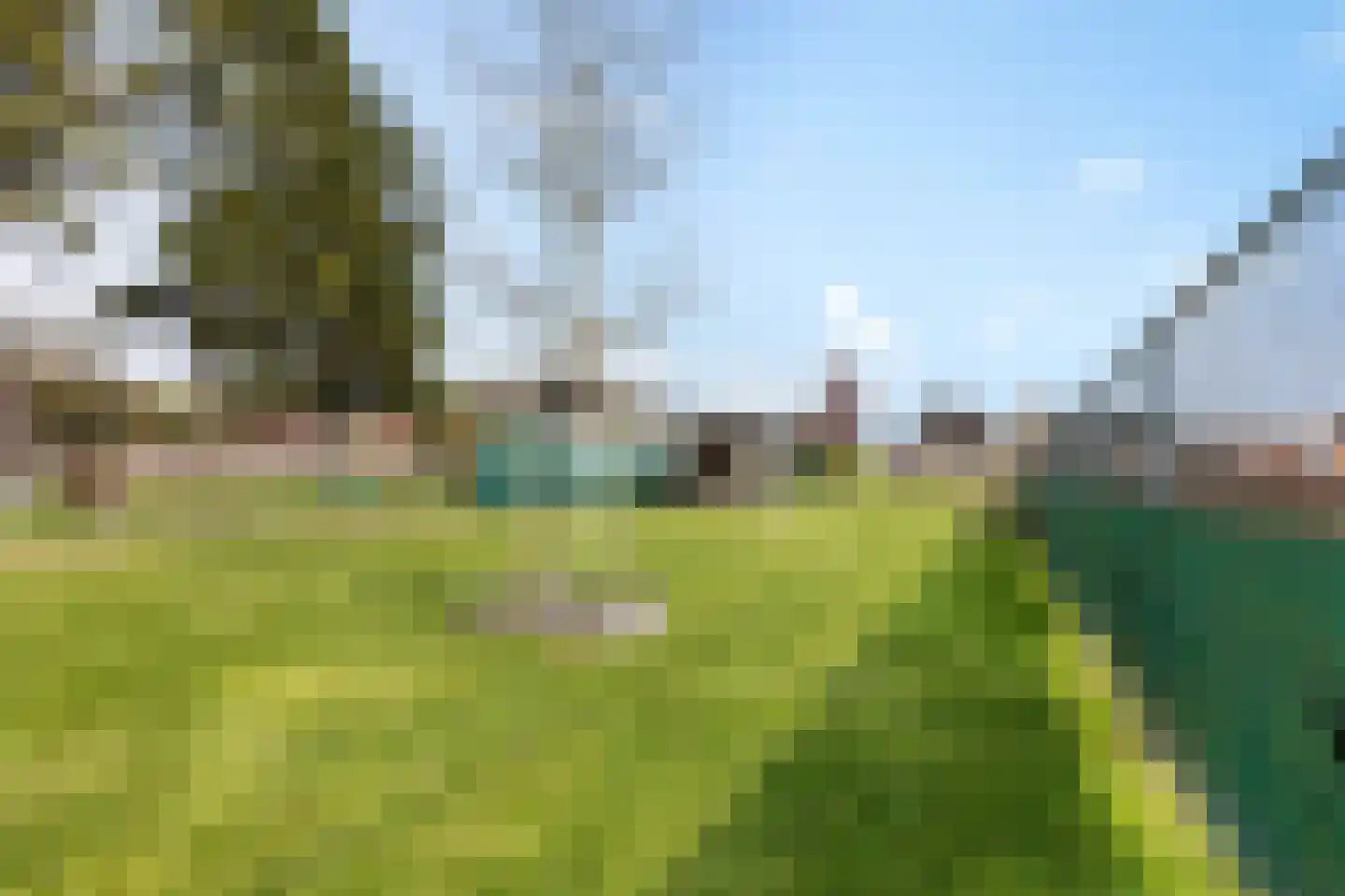 Heringsbosch 89 Schinveld thumbnail 34