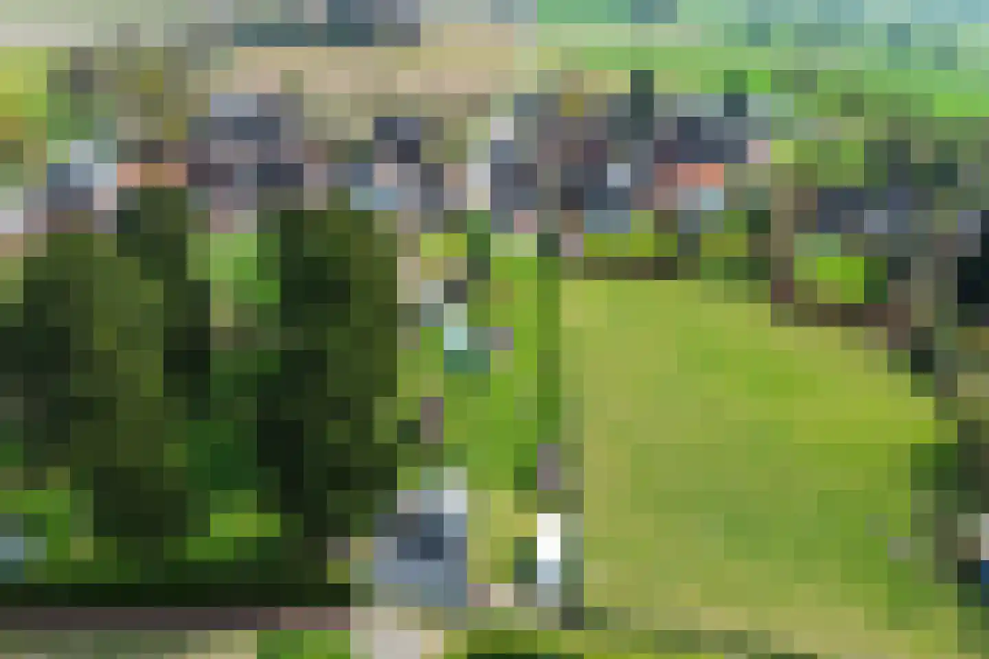 Heringsbosch 89 Schinveld thumbnail 38