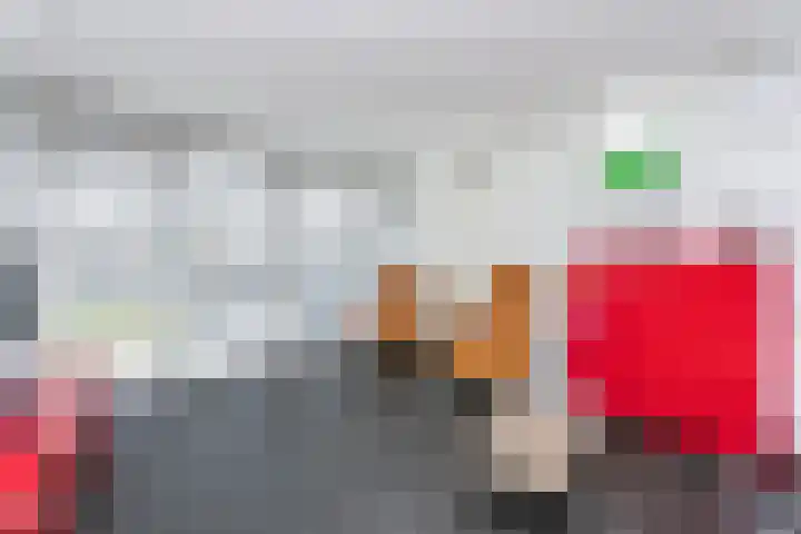 Heringsweg 1 Schinveld thumbnail 16