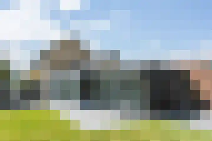 Heringsweg 1 Schinveld foto 2