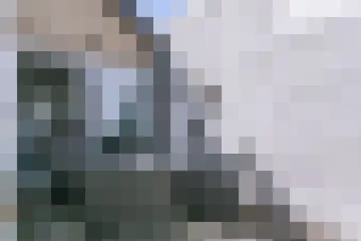 Heringsweg 1 Schinveld thumbnail 27
