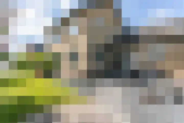 Heringsweg 1 Schinveld foto 3