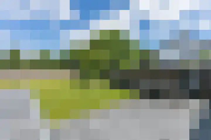 Heringsweg 1 Schinveld thumbnail 38