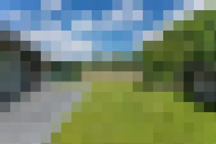 Heringsweg 1 Schinveld thumbnail 39