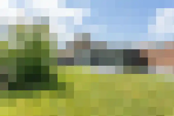Heringsweg 1 Schinveld thumbnail 4