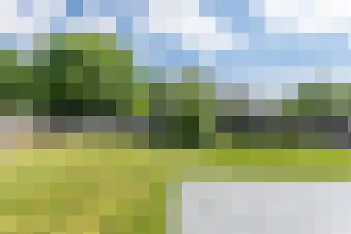 Heringsweg 1 Schinveld thumbnail 41