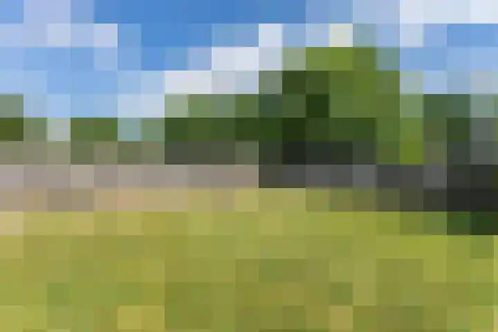 Heringsweg 1 Schinveld thumbnail 42