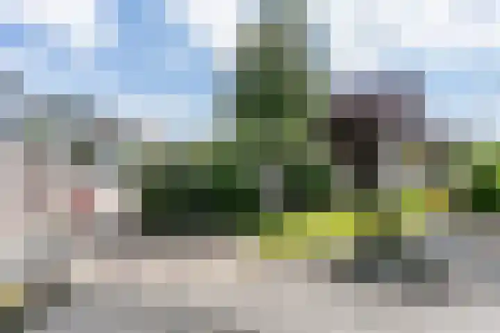 Heringsweg 1 Schinveld thumbnail 45