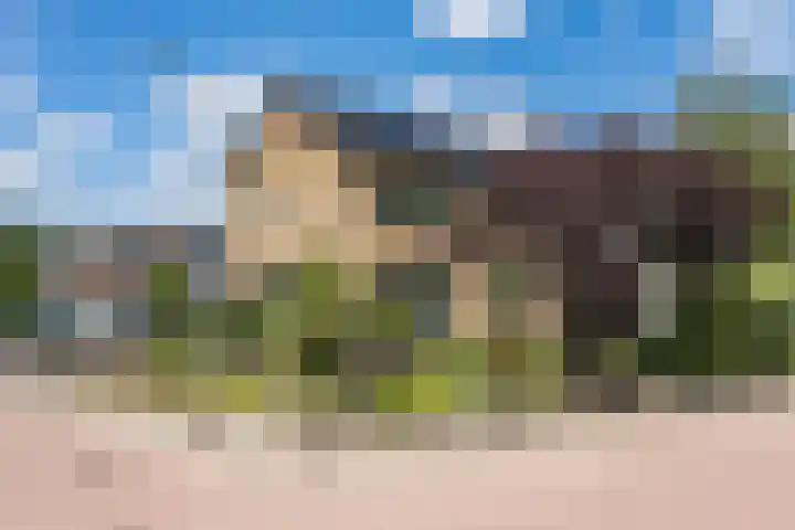 Heringsweg 1 Schinveld thumbnail 47