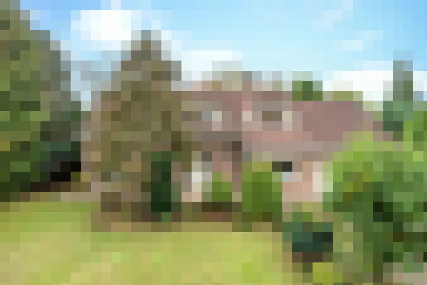 Herinkhave 10 Eindhoven thumbnail 5