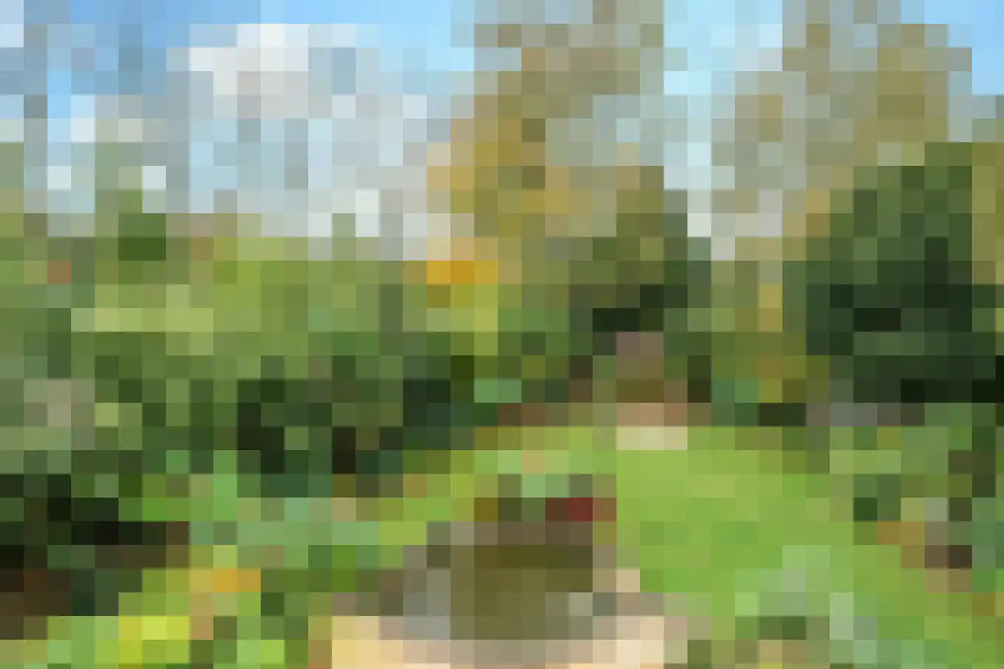 Herinkhave 10 Eindhoven thumbnail 50