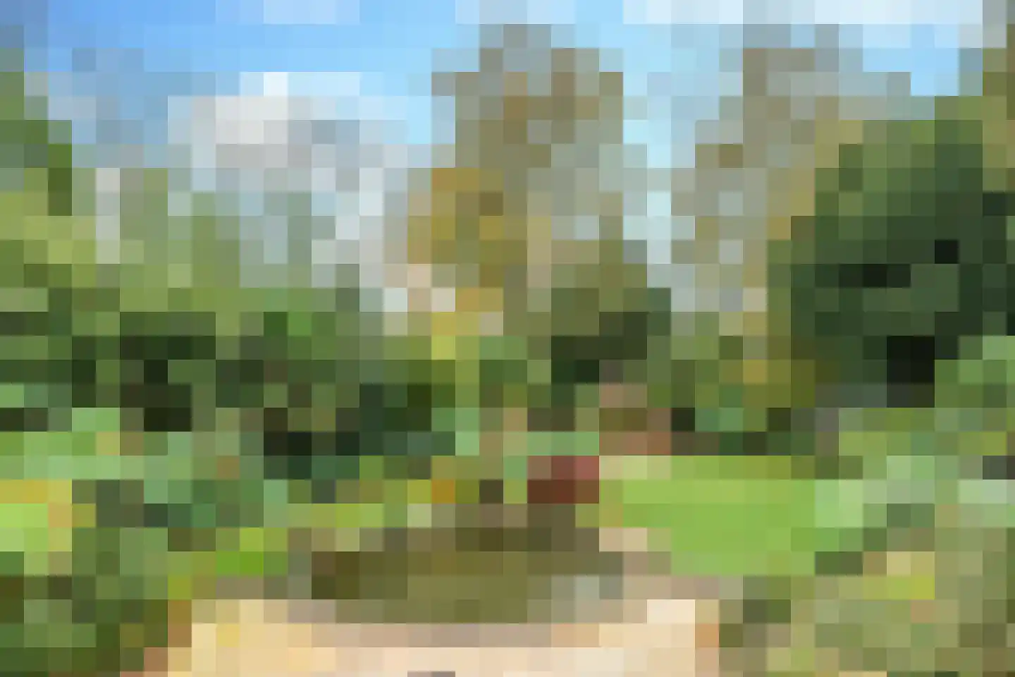 Herinkhave 10 Eindhoven thumbnail 51