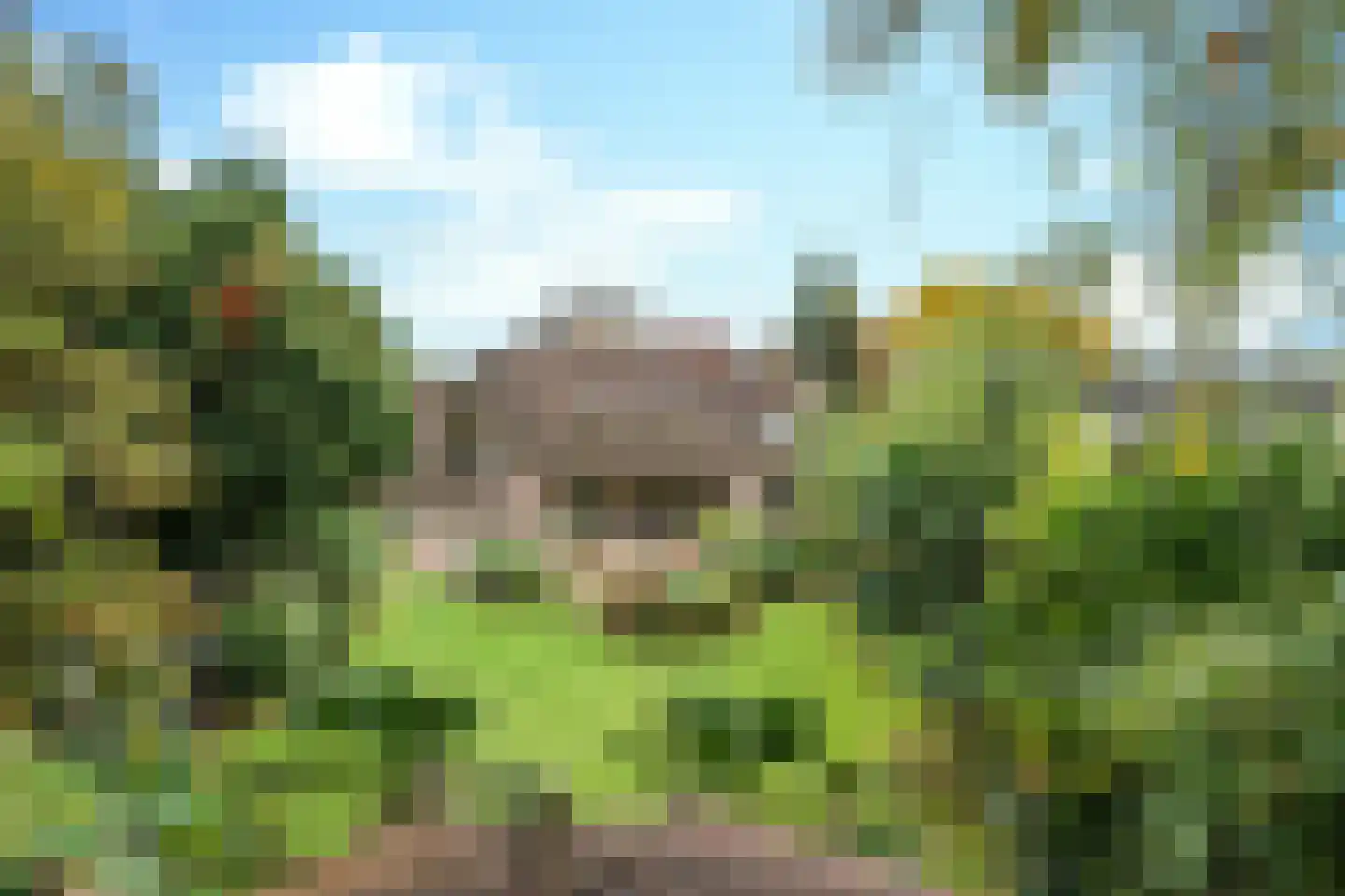Herinkhave 10 Eindhoven thumbnail 55