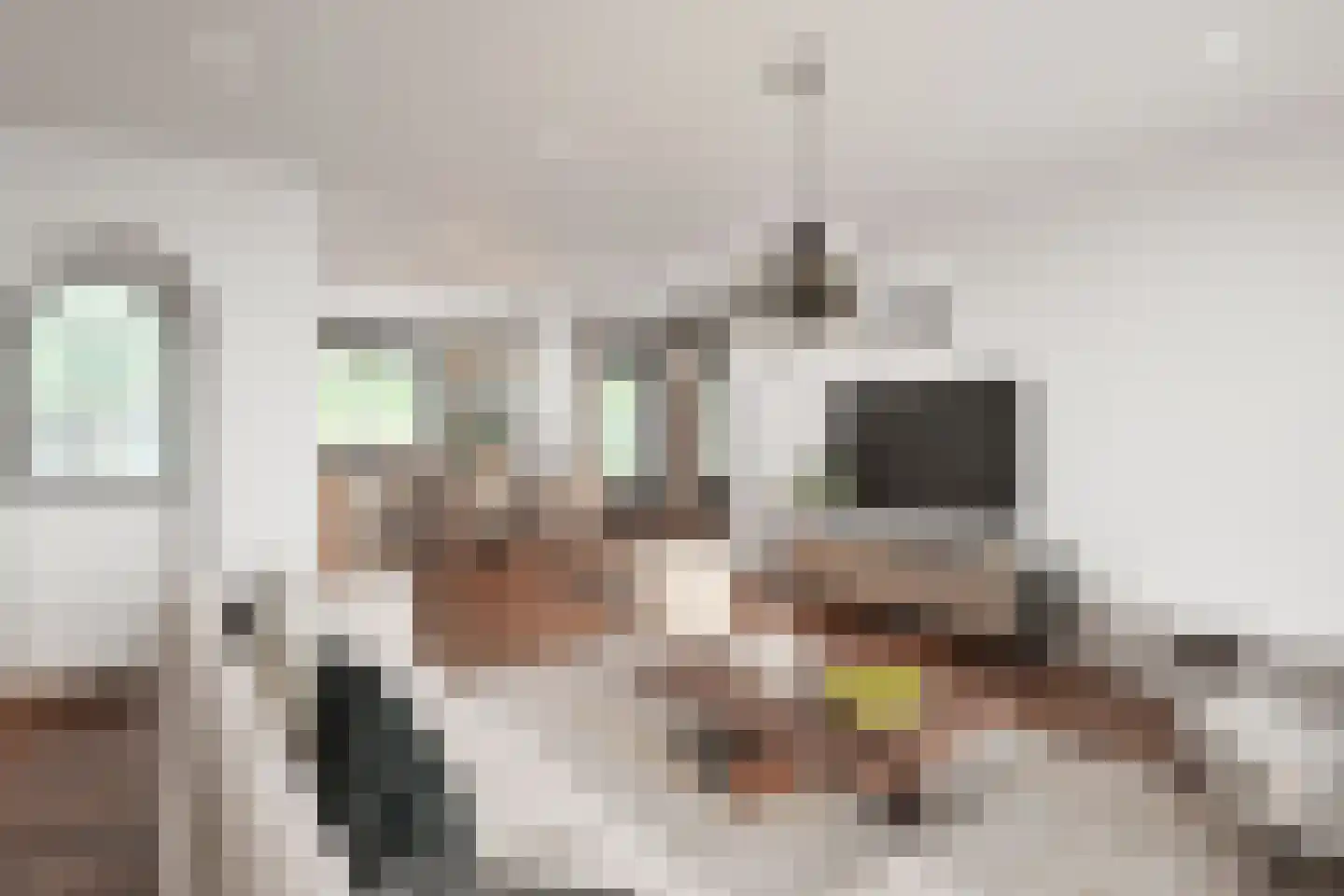 Herinkhave 10 Eindhoven thumbnail 61