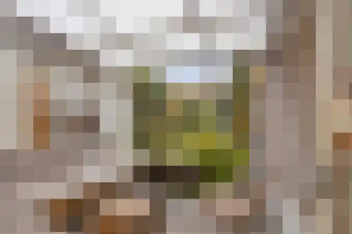 Herkenbosscherweg 14 Roermond thumbnail 26