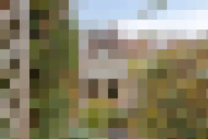 Herkenbosscherweg 14 Roermond thumbnail 29
