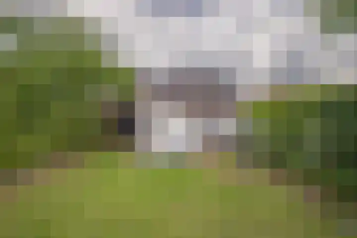 Herkenbosscherweg 38 Roermond thumbnail 16