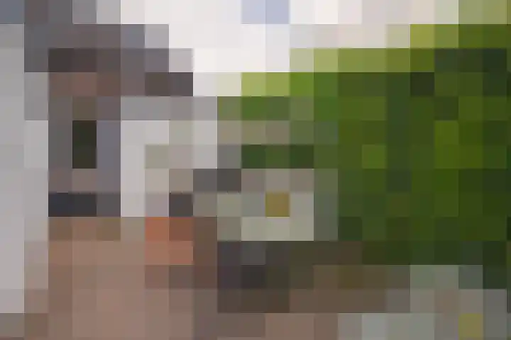 Herkenbosscherweg 38 Roermond thumbnail 18