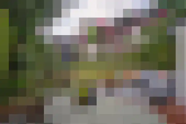 Herkenbosscherweg 38 Roermond thumbnail 19