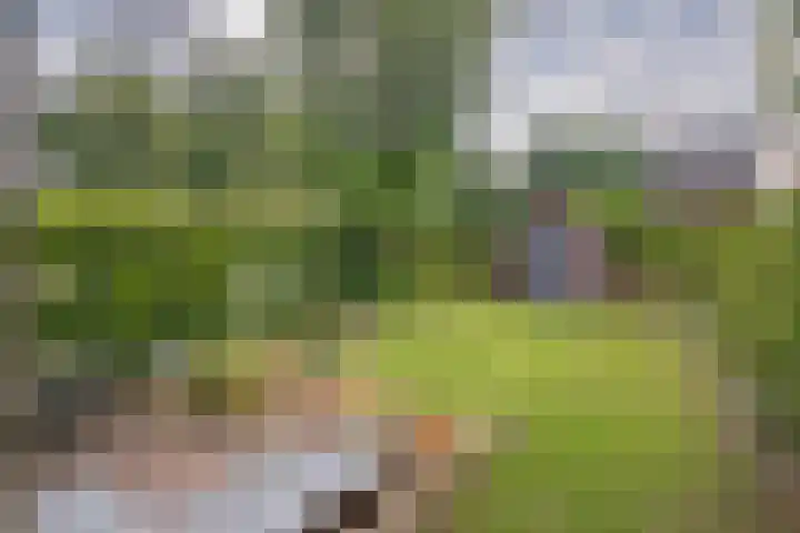Herkenbosscherweg 38 Roermond thumbnail 20