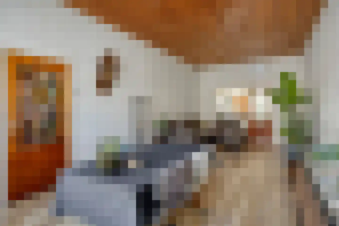 Herkenbosscherweg 46 Roermond thumbnail 4