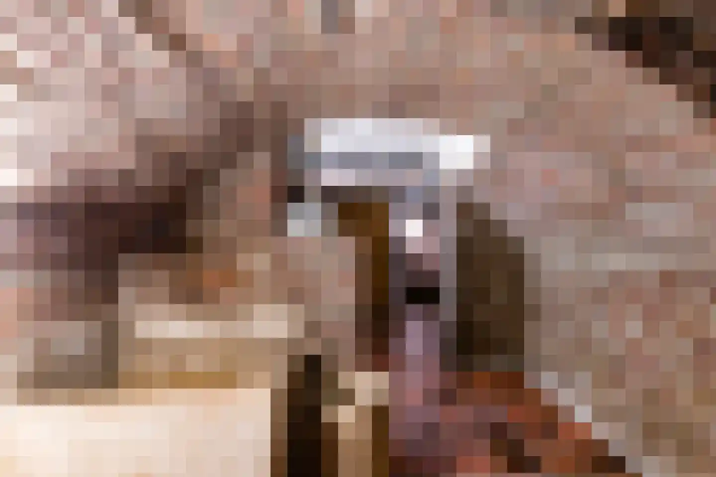 Herkenbosserweg 3 Vlodrop thumbnail 10