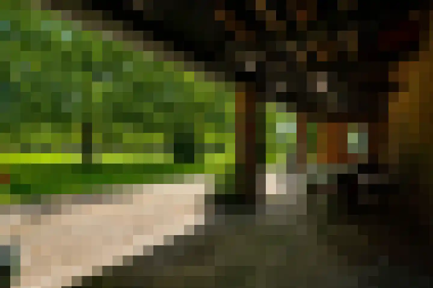 Herkenbosserweg 3 Vlodrop thumbnail 18