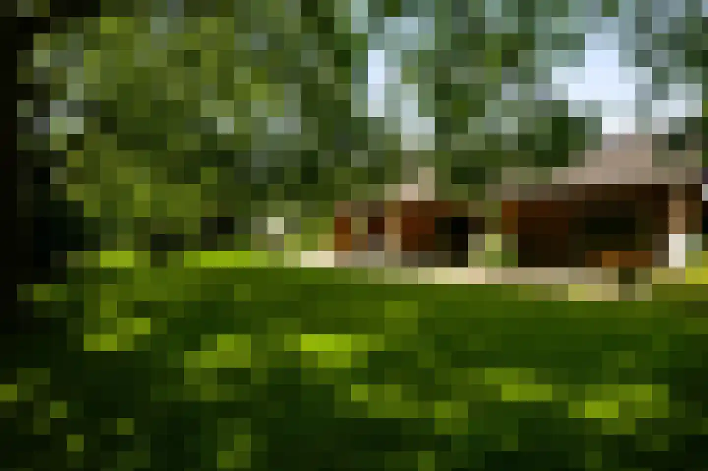 Herkenbosserweg 3 Vlodrop thumbnail 19