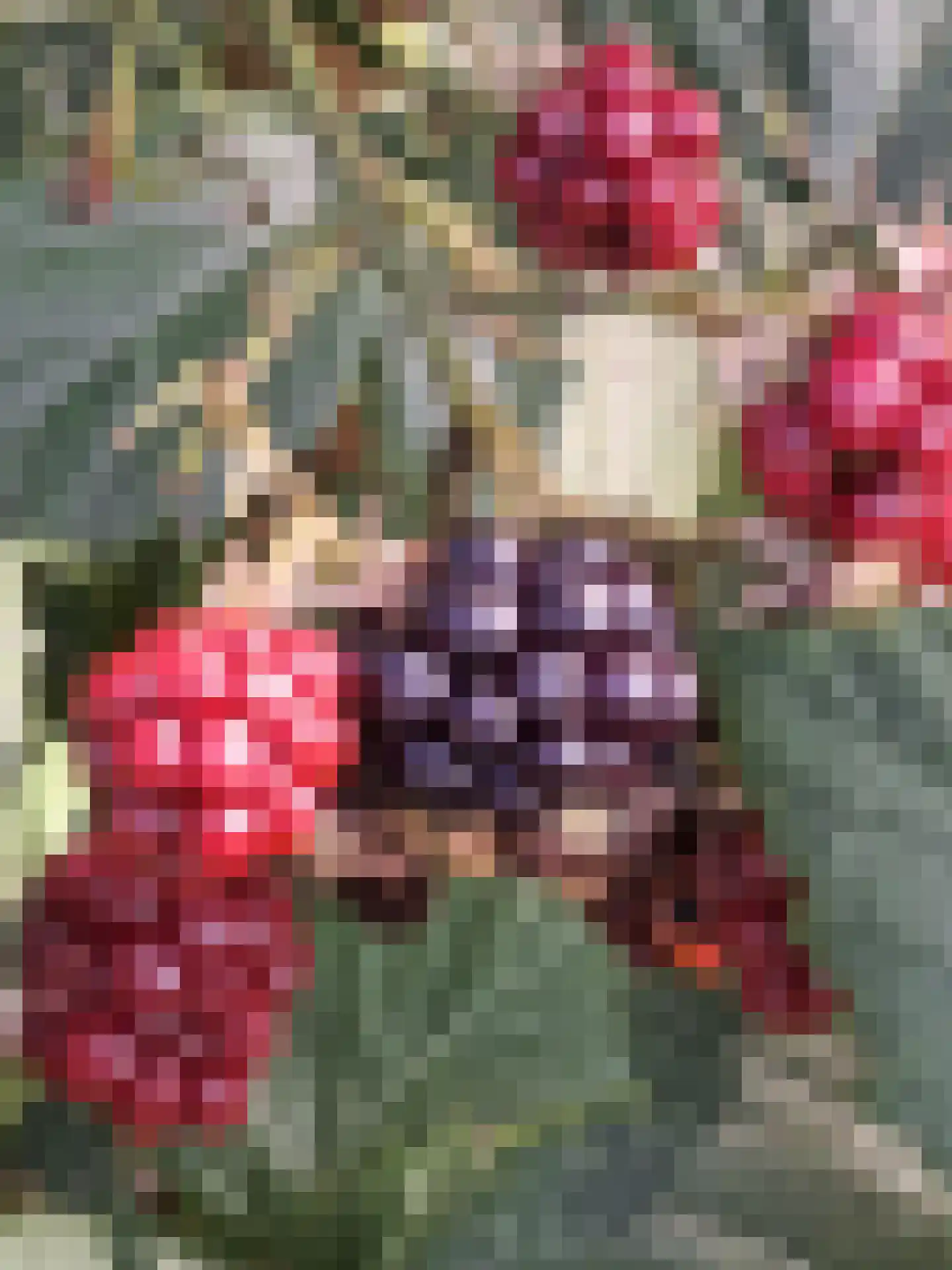 Herkenbosserweg 3 Vlodrop thumbnail 20