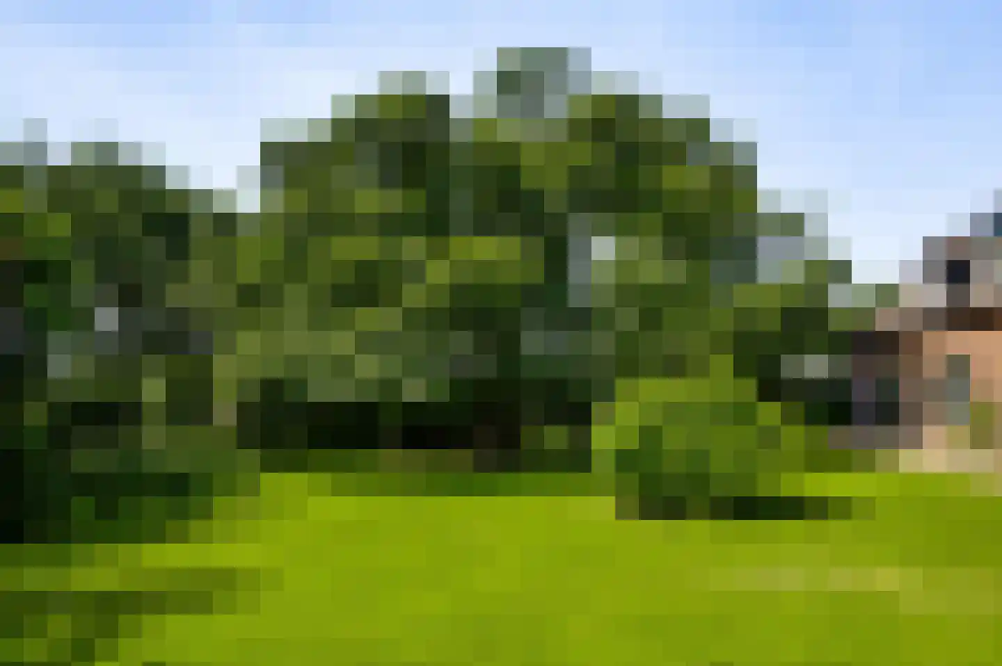 Herkenbosserweg 3 Vlodrop thumbnail 20