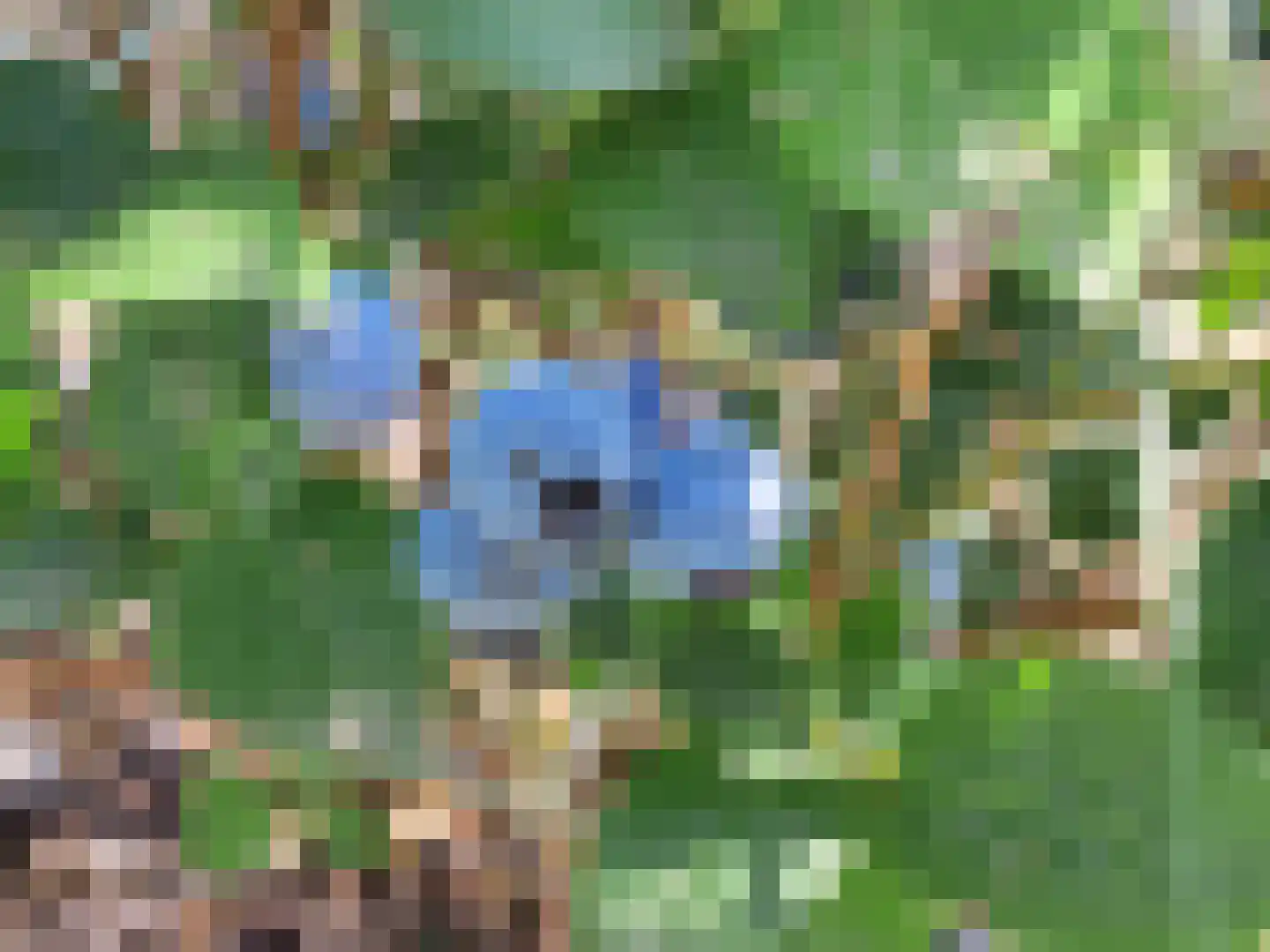 Herkenbosserweg 3 Vlodrop thumbnail 21