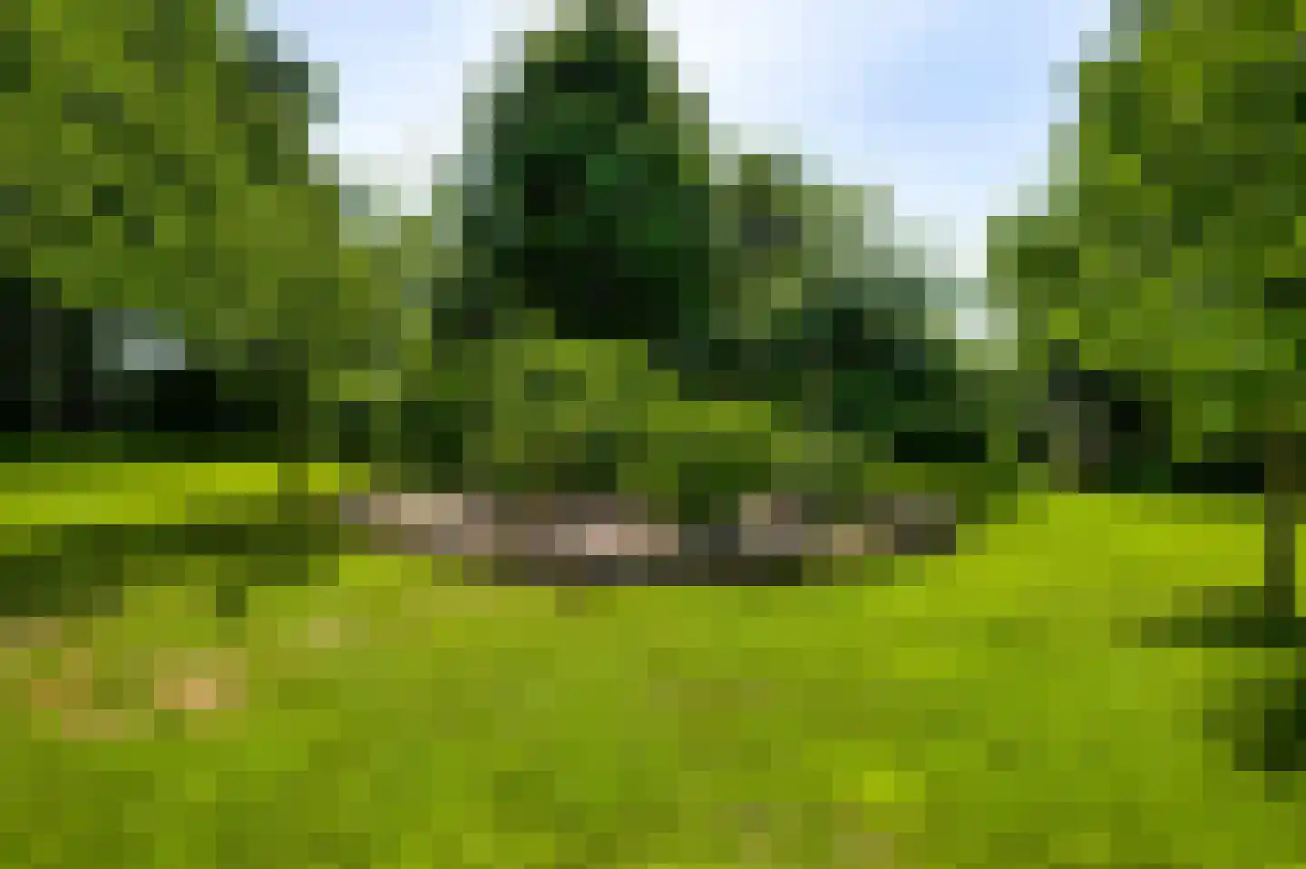 Herkenbosserweg 3 Vlodrop thumbnail 21