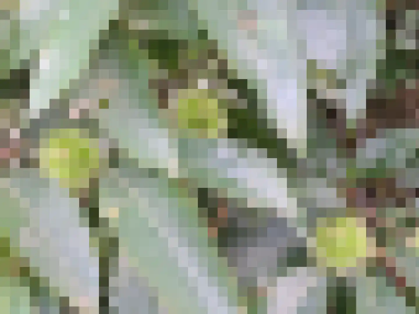 Herkenbosserweg 3 Vlodrop thumbnail 22