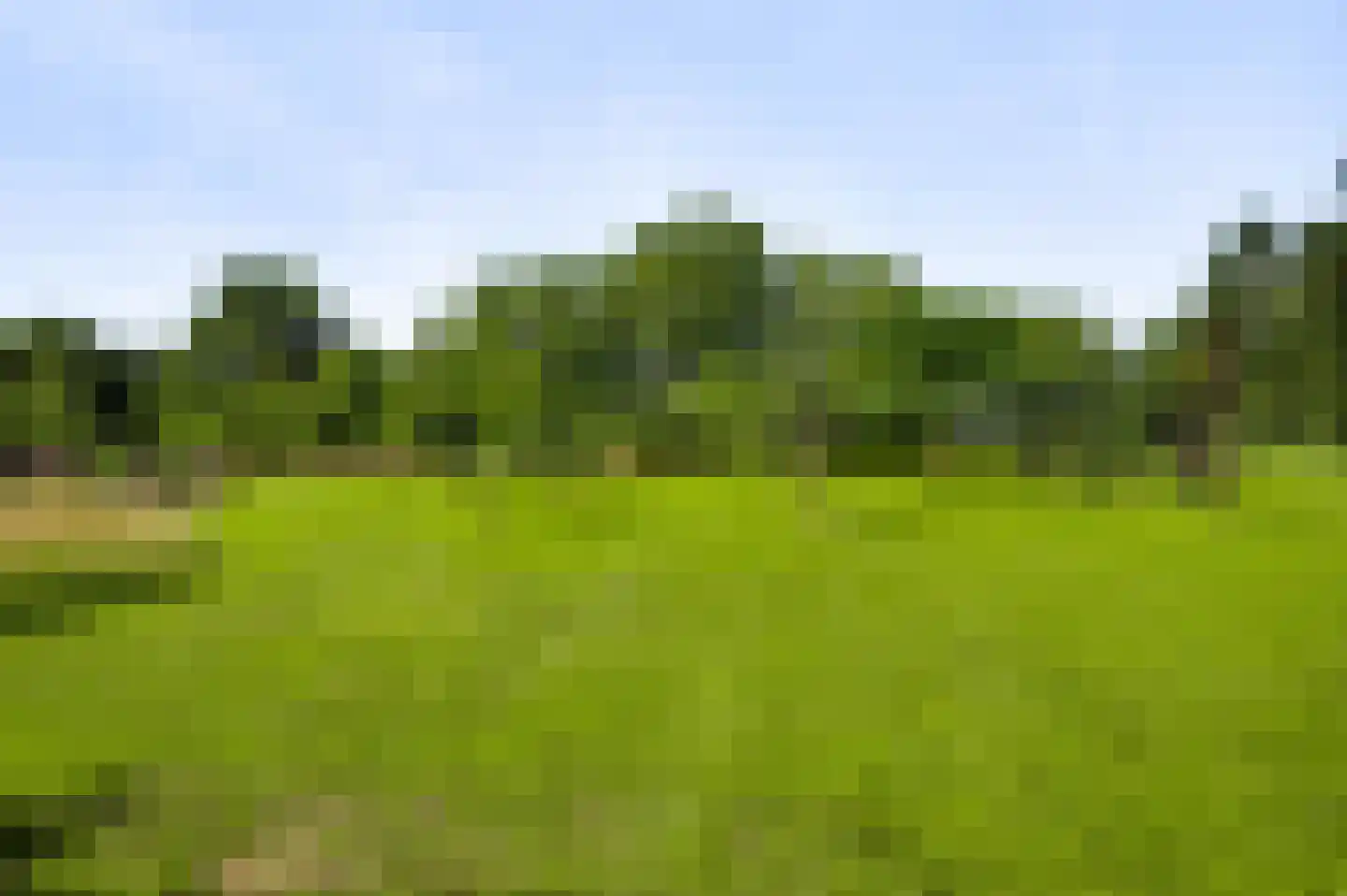 Herkenbosserweg 3 Vlodrop thumbnail 22