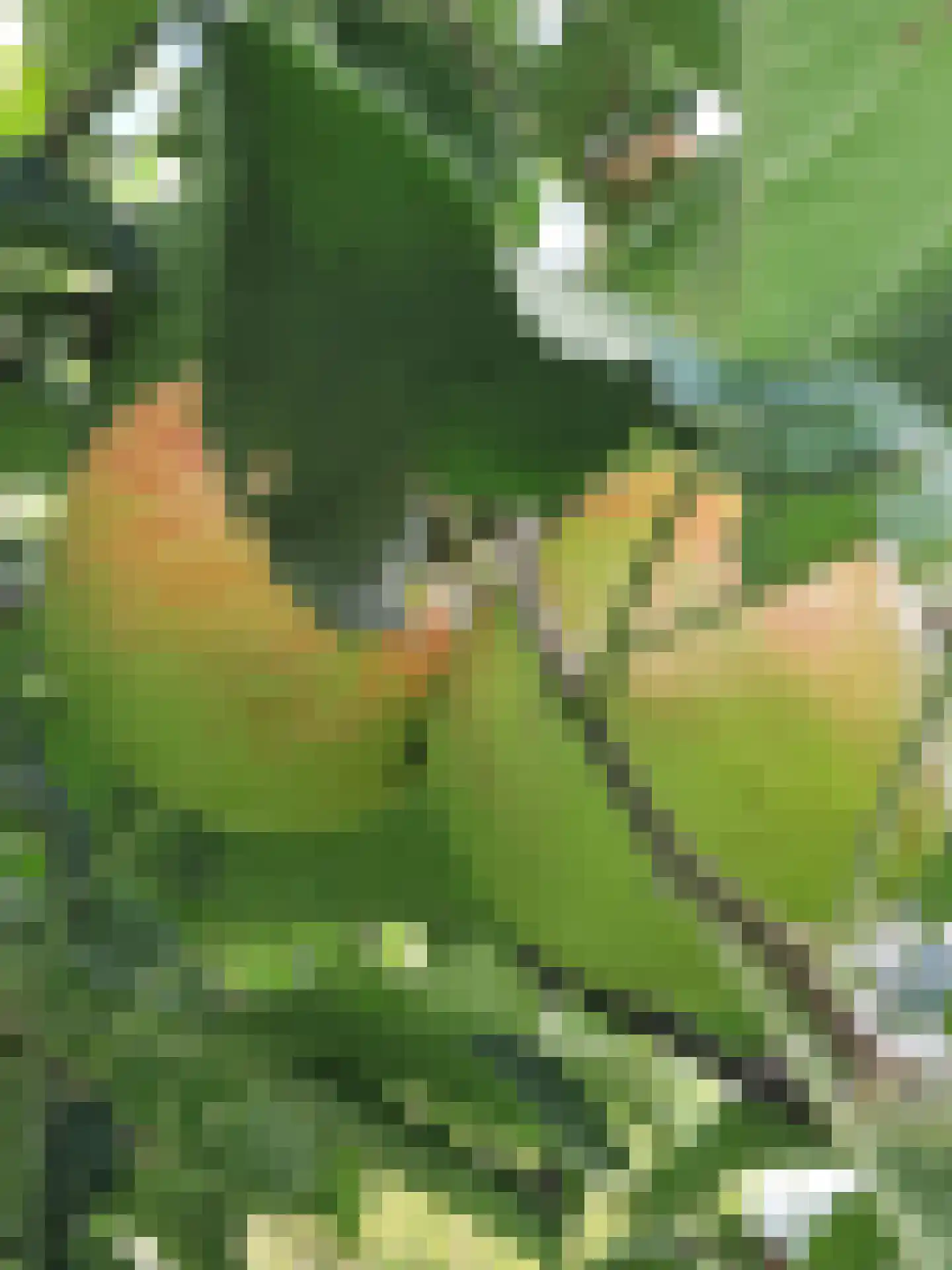 Herkenbosserweg 3 Vlodrop thumbnail 23