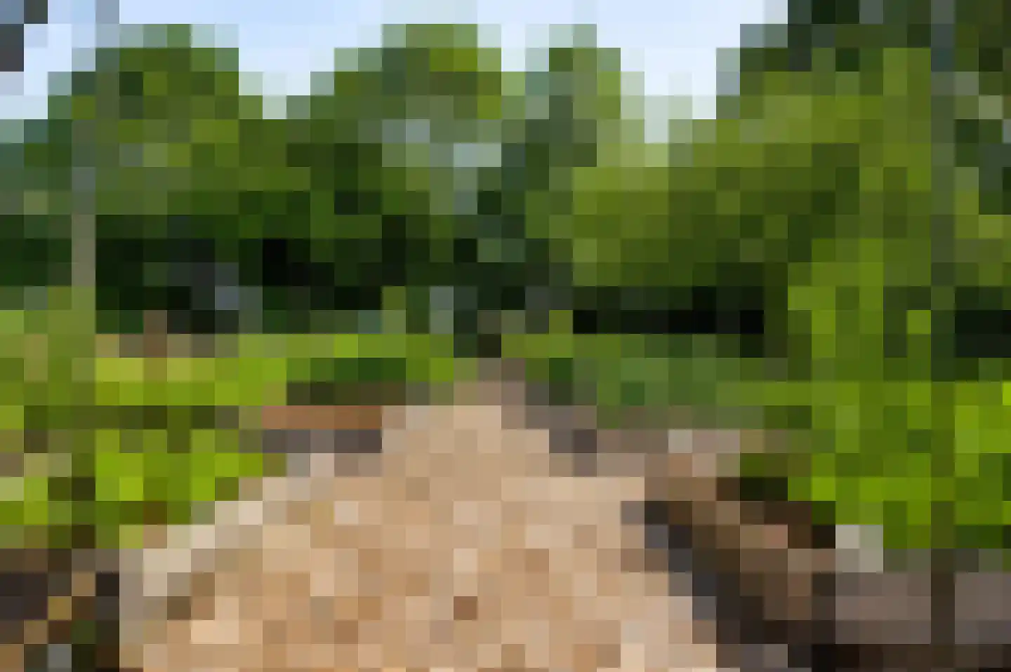 Herkenbosserweg 3 Vlodrop thumbnail 23