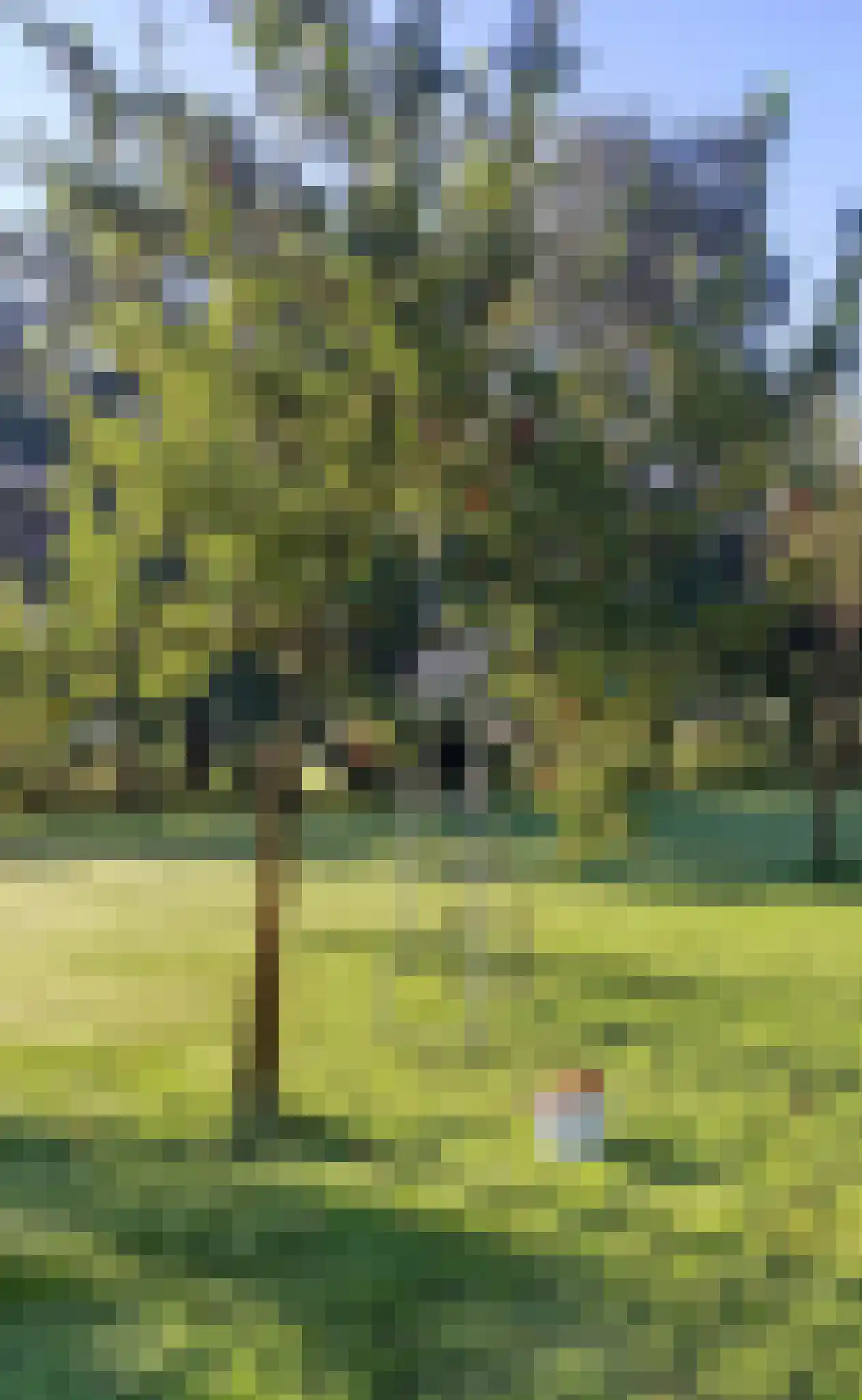 Herkenbosserweg 3 Vlodrop thumbnail 24