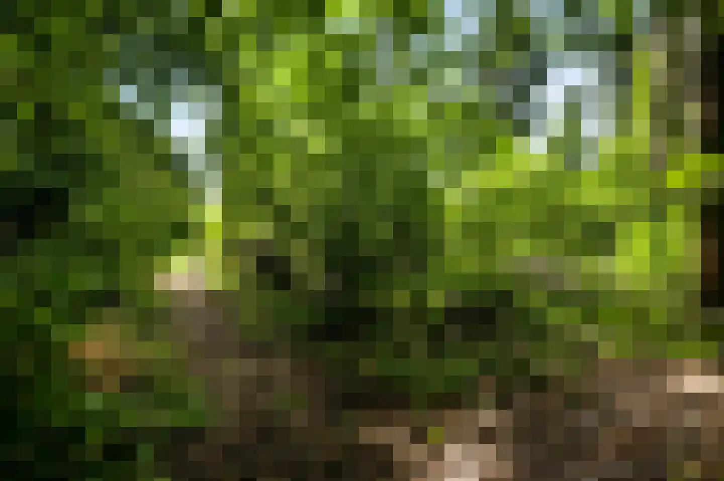 Herkenbosserweg 3 Vlodrop thumbnail 24