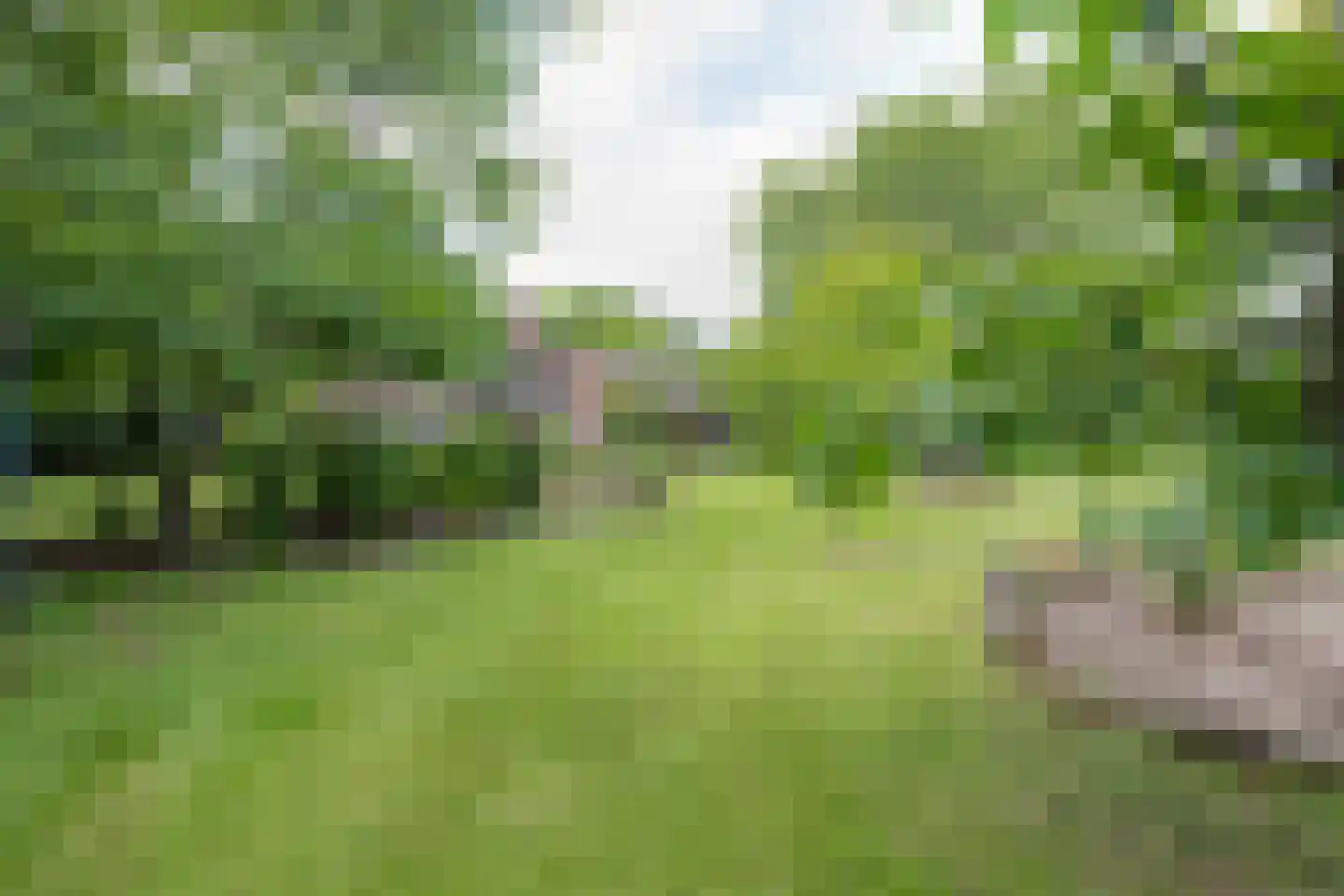 Herkenbosserweg 3 Vlodrop thumbnail 25