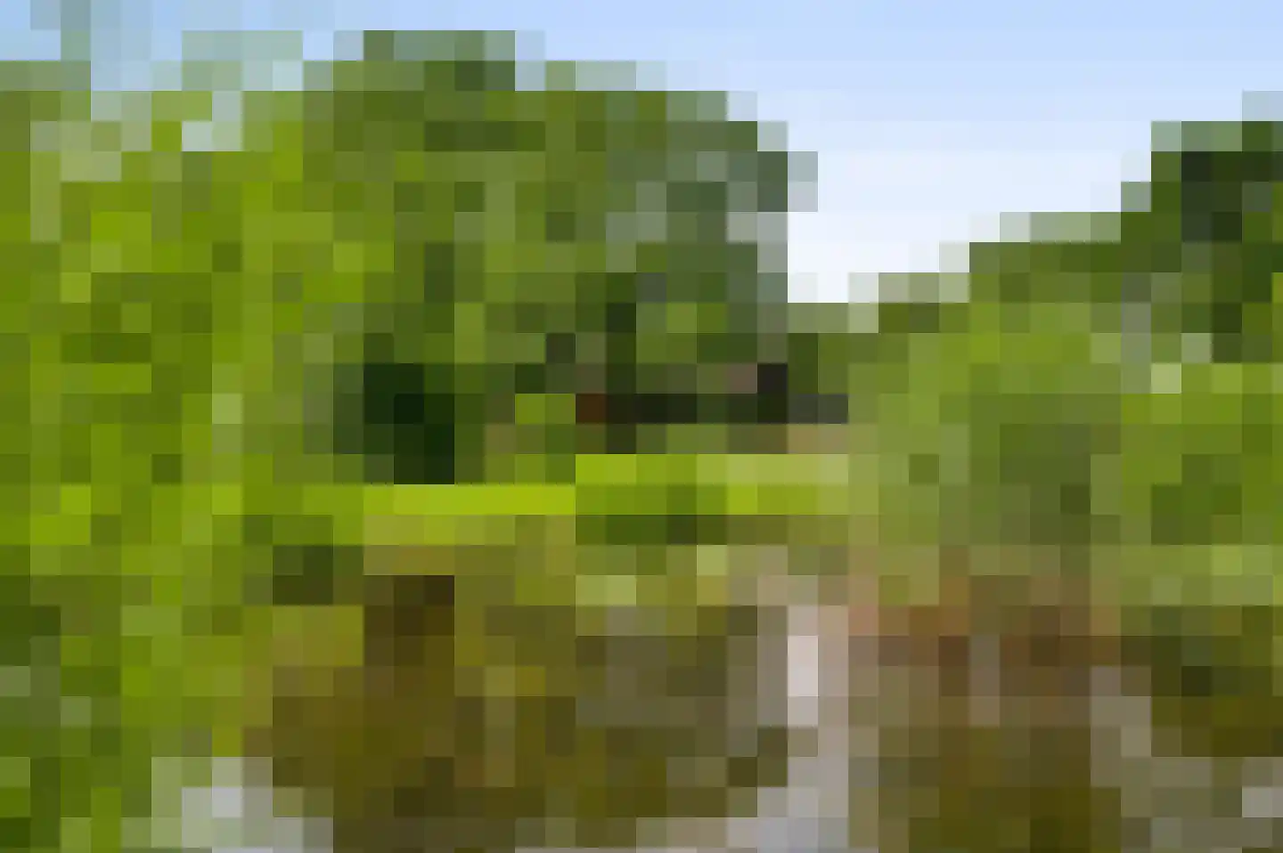 Herkenbosserweg 3 Vlodrop thumbnail 25