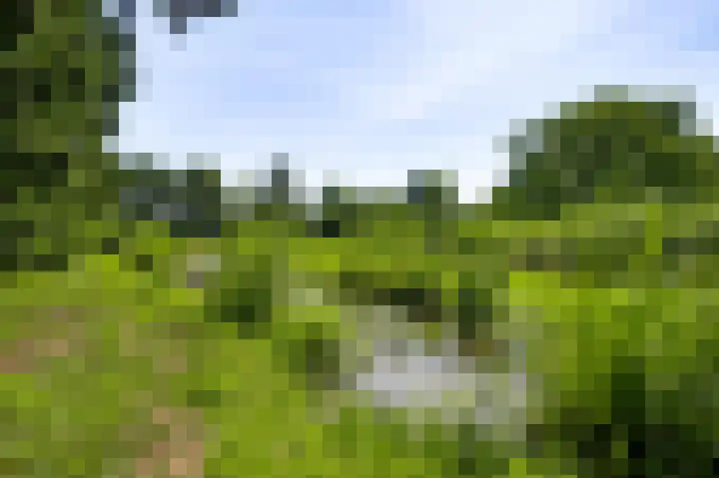 Herkenbosserweg 3 Vlodrop thumbnail 26